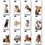 STUFF4 Hülle/Case für Meizu Handy/Hund/Hunde/Smartphone Schutzhülle