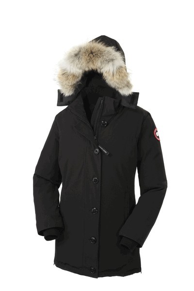 canada goose 176 canada goose 176