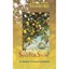 Sand for Snow: A Caribbean-Canadian Chronicle - Paperback NEW Sandiford, Robe 20