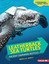 Leatherback Sea Turtles: Ancient Swimming Reptiles (Com - Library Binding NEW Re