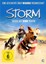 Storm - Sieger auf 4 Pfoten von Giacomo Campeotto | DVD | neu