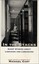 NEW In the Stacks: Short Stories about Libraries and Librarians by Michael Cart