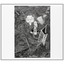 Cacophony (Reissue) Rudimentary Peni Audio CD