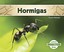 Hormigas (Insectos), Hansen, Grace, New Book