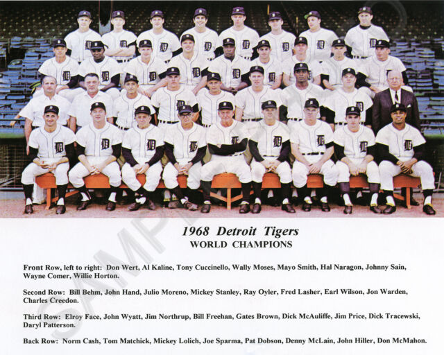 1968 Detroit Tigers World Series Champions Team 8x10 Photo | EBay