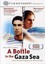 Bottle In The Gaza Sea (2013, DVD NEW)