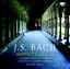Nicol Matt - Bach: Motets BWV 225-230