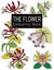 The Flower Colouring Book Large and Small Projects to Enjoy 9781782212133