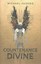 The Countenance Divine by Michael Hughes (Hardback, 2016)