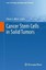 Cancer Stem Cells in Solid Tumors by Humana Press Inc. (Hardback, 2011)