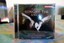 Piazzolla Song of the Angel (James Crabb, classical accordion/ACO/Tognetti) CD