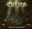 Cut Up - Wherever They May Rot