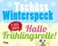 Tschüss Winterspeck, hallo Frühlingsrolle!, Taschenbuch