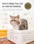 How to Make Your Cat an Internet Celebrity A Guide to Financial... 9781594746796