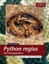 Thomas Kölpin Python Regius. Der Königspython