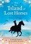 The Island of Lost Horses by Stacy Gregg.
