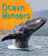 Kingfisher-Fast Facts! Ocean Wonders BOOK NEW