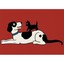 Cat and Dog Friendship Greeting Card Smith, May (Illustrator)