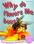 Plant Life: Why Do Flowers Like Bees? (First Q&A) by Camilla De la Bedoyere.