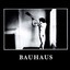 In the Flat Field by Bauhaus.