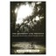 The Abundant Life Prevails: Religious Traditions on Sai - Hardcover NEW Michael