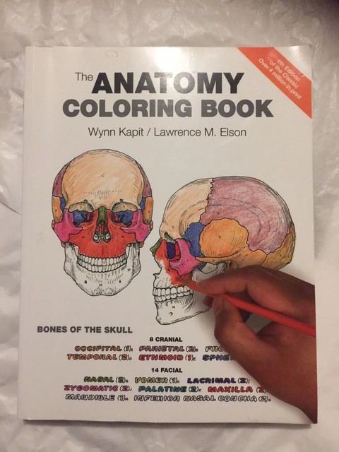 The Anatomy Coloring Book By Lawrence M Elson And Wynn Kapit Pdf