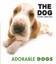 Adorable Dogs by Carlton Books Ltd (Paperback, 2008)