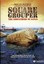 Square Grouper (2011, DVD NEW) WS