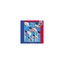 American Flag (Checkerboard Symbols, Landmarks and Monu - Paperback NEW Tamara L