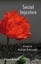Social Injustice: Essays in Political Philosophy by Vittorio Bufacchi (English)