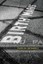 Birth Marks (American Poets Continuum) by Jim Daniels.
