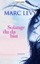 Levy, Marc: Solange du da bist, Taschenbuch