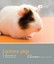 Guinea Pig - Pet Friendly Book