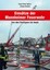 Einsätze der Mannheimer Feuerwehr Rainer Straßel 9783954003662