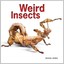 Worek, Michael-Weird Insects BOOK NEW