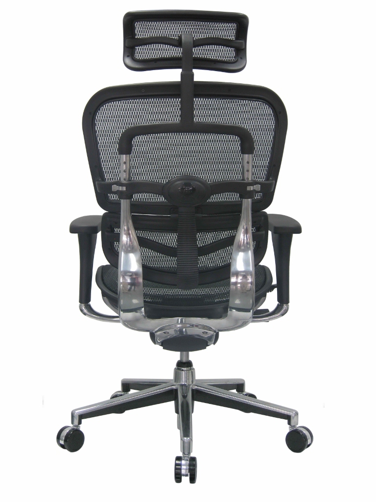 Eurotech Ergohuman Mesh Multifunction High Back Executive Chair Res Content Global Inflow Inflowcomponent Cancel