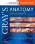 Gray's Anatomy for Students (Buch) NEU