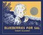 Blueberries for Sal by Robert McCloskey 9780812422085 (Hardback, 2010)