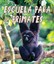Escuela Para Primates - Paperback NEW Jennifer Keats 10/04/2015