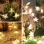 100 Warm White LED Indoor Bedroom Home Party Decor String Star Fairy Lights