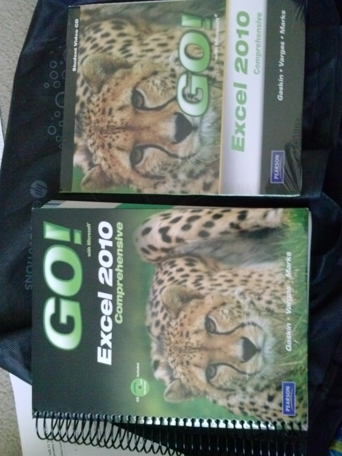 go with microsoft excel 2010 comprehensive
