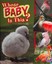 Whose Baby Is This? by Julie Murphy (English) Library Binding Book Free Shipping