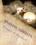 Animal Ghosts: Animal Hauntings and the Hereafter by O'Donnell, Elliott