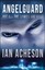 Angelguard 'Not All the Spirits are Good Acheson, Ian