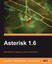 Asterisk 1.6, David Merel, Taschenbuch, Paperback, Englisch, 2009