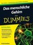 Amthor, Frank: Das menschliche Gehirn für Dummies