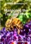 Balanced Beekeeping II: Managing the Top Bar Hive 9781326497651