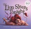 Lion Sleeps Tonight (with CD) by Luigi Creatore Paperback