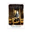 Family of Earth by Wilma Dykeman, Robert Morgan (foreword)