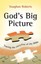 God's Big Picture: Tracing the Storyline of the Bible by Vaughan Roberts...